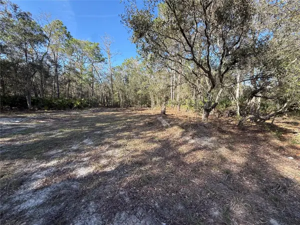 6479 W HOLIDAY ST, Homosassa, FL 34446