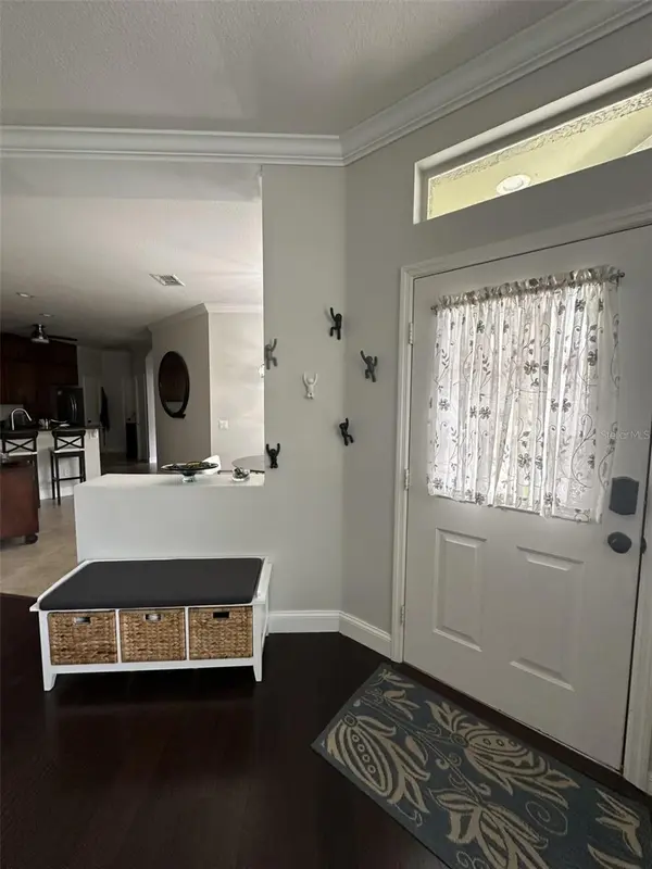 19113 DOVES LANDING DR, Tampa, FL 33647