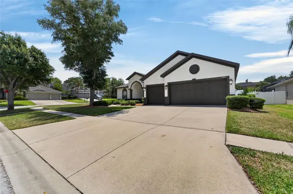 2309 SILVER TRUMPET CT, Valrico, FL 33594