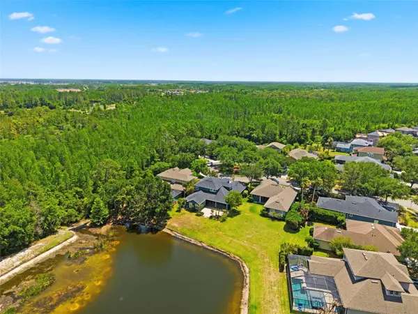20629 WILD PLUM CT, Land O Lakes, FL 34637