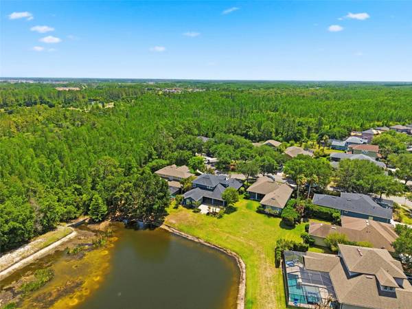 20629 WILD PLUM CT, Land O Lakes, FL 34637