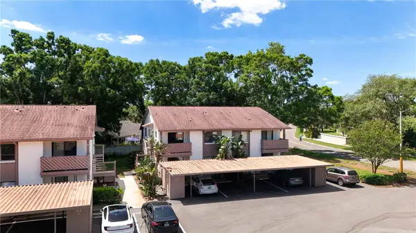 514 TABOR CT #C, Safety Harbor, FL 34695