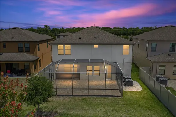 14633 RED CASTLE AVE, Lithia, FL 33547