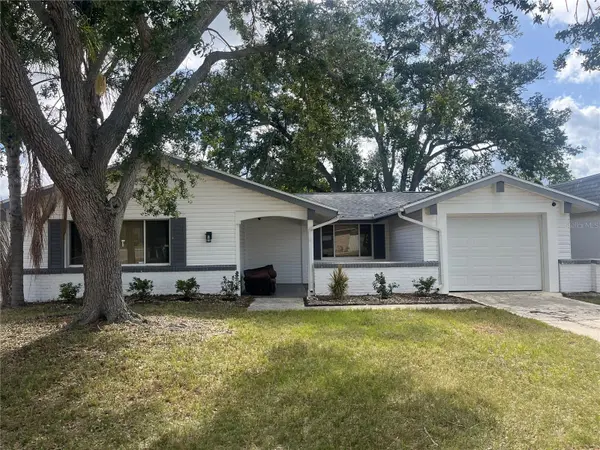 3507 LANDALE DR, Holiday, FL 34691