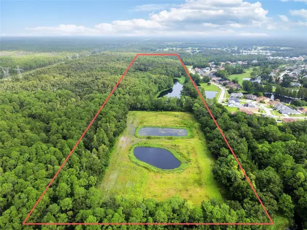 UNPLATTED, Odessa, FL 33556