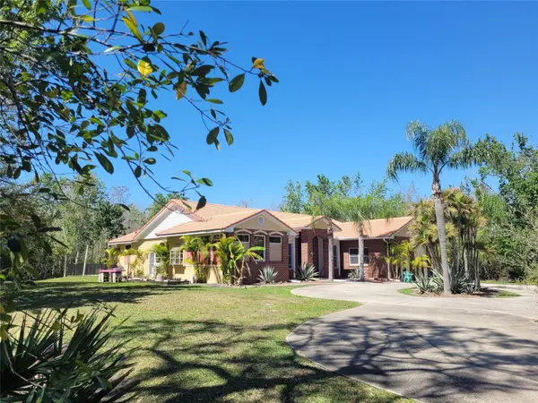 3150 APPALOOSA CT, Kissimmee, FL 34746