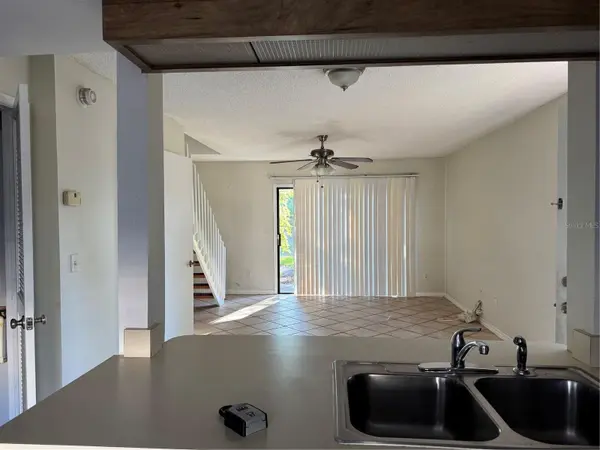 16573 BRIGADOON DR, Tampa, FL 33618