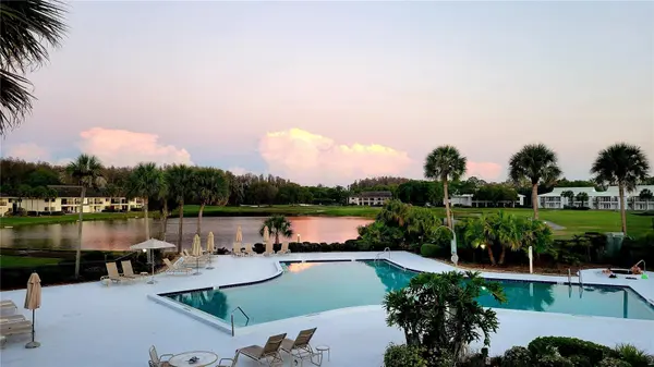 29130 BAY HOLLOW DR #3312, Wesley Chapel, FL 33543