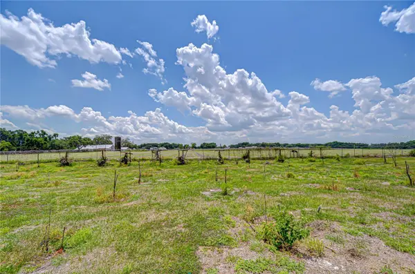 4036 MOORES LAKE RD, Dover, FL 33527