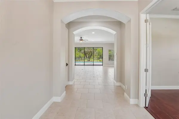 8355 SWISS CHARD CIR, Land O Lakes, FL 34637
