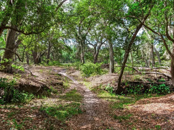 Address not disclosed, Thonotosassa, FL 33592