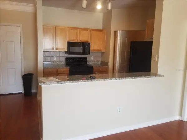 4207 S DALE MABRY HWY #2401, Tampa, FL 33611