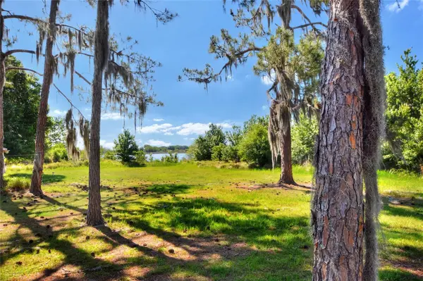 0 LAKE BUFFUM RD W, Fort Meade, FL 33841