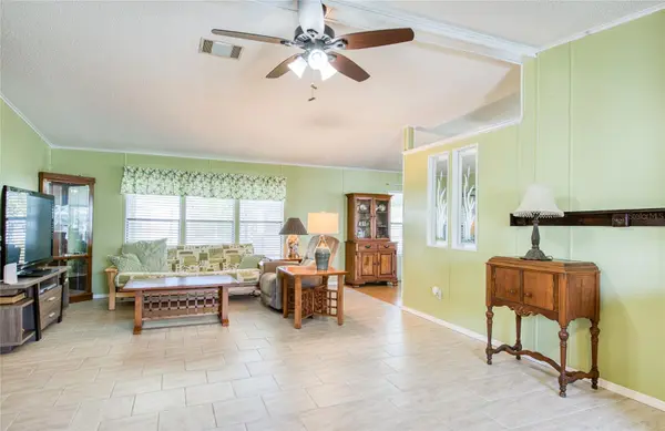 228 TARPON LN, Oldsmar, FL 34677