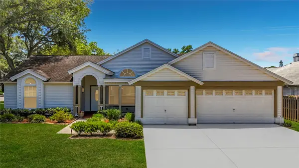 2924 PENRIDGE DR, Palm Harbor, FL 34684