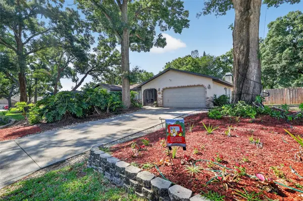 2713 WILLOW OAKS DR, Valrico, FL 33594