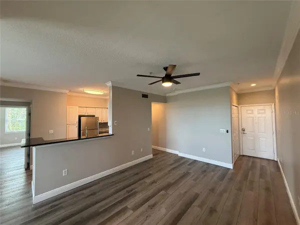 1910 E PALM AVE #11321, Tampa, FL 33605