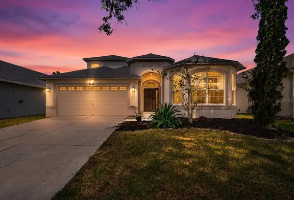 10024 COLDWATER LOOP, Land O Lakes, FL 34638