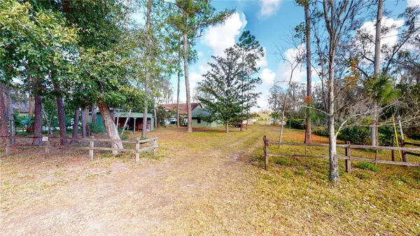 19803 READING RD, Lutz, FL 33558