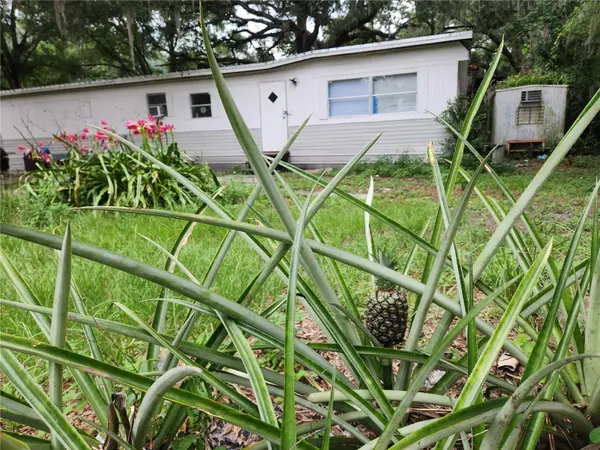 24815 AUDREY RD, Land O Lakes, FL 34639