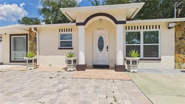 8721 N ORANGEVIEW AVE, Tampa, FL 33617