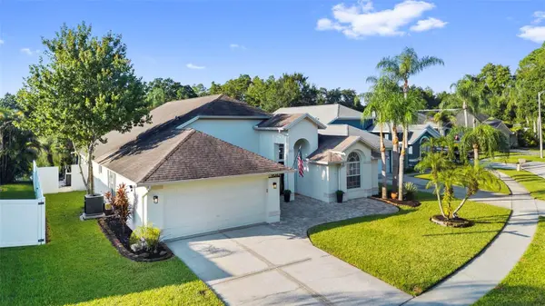 9042 BRELAND DR, Tampa, FL 33626