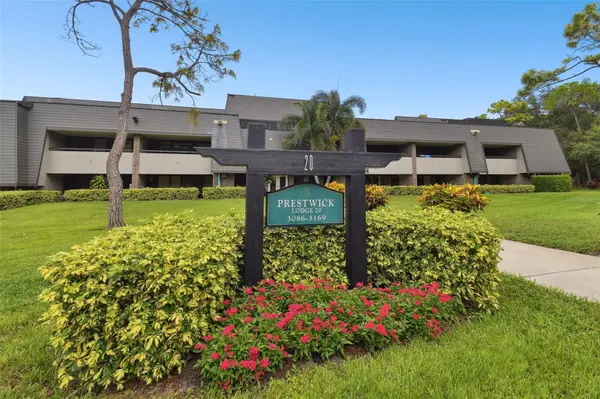 36750 US HIGHWAY 19 N #20305, Palm Harbor, FL 34684
