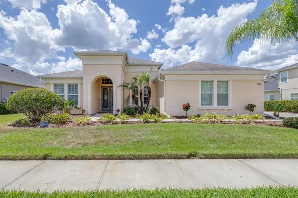3227 WATERMARK DR, Wesley Chapel, FL 33544
