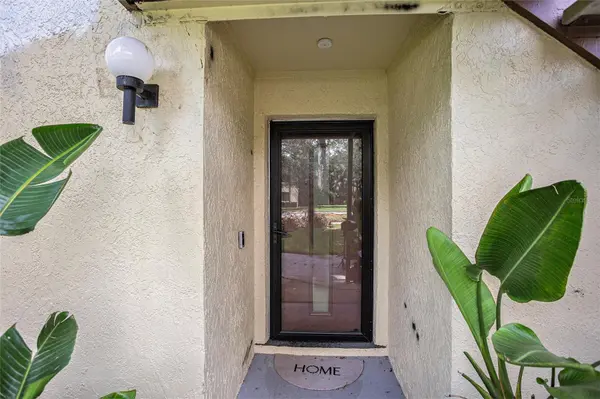 600 SUMMERHILL CT #A, Safety Harbor, FL 34695