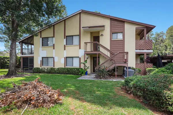 600 SUMMERHILL CT #A, Safety Harbor, FL 34695