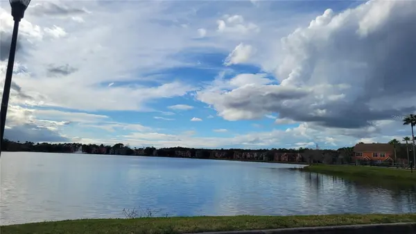 10562 WINDSOR LAKE CT #10562, Tampa, FL 33626