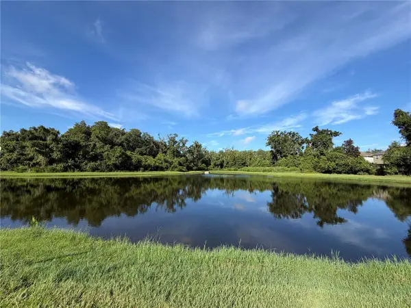 9847 EDMONTON DR, Land O Lakes, FL 34638