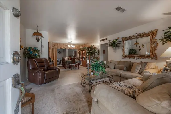 3803 RIVER GROVE DR, Tampa, FL 33610