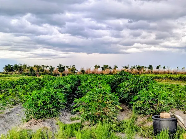 0 MINERAL BRANCH RD, Zolfo Springs, FL 33890