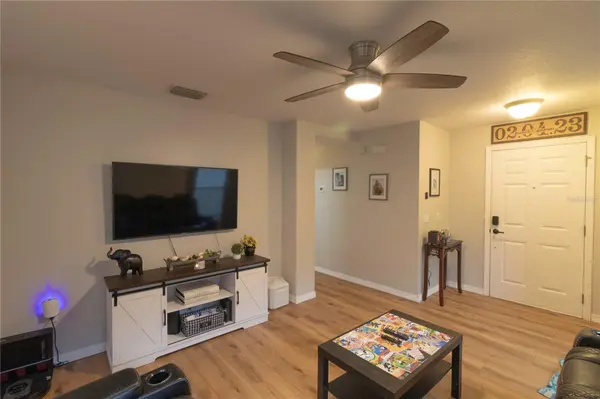 11910 MANGO GROVES BLVD, Seffner, FL 33584