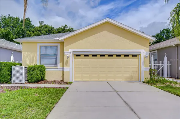 8049 SANGUINELLI RD, Land O Lakes, FL 34637