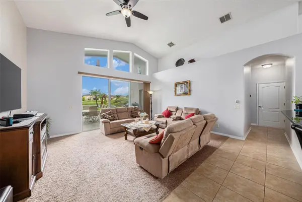 20017 PAINTING NATURE LN, Tampa, FL 33647