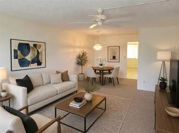 4890 BAY ST NE #336, St Petersburg, FL 33703