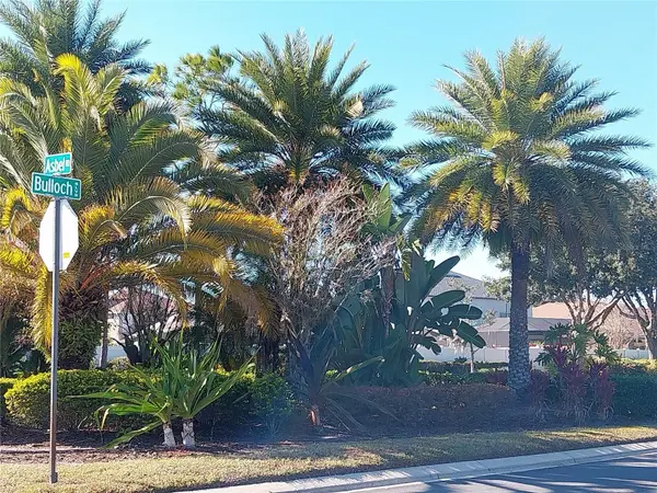 10116 PERTHSHIRE CIR, Land O Lakes, FL 34638