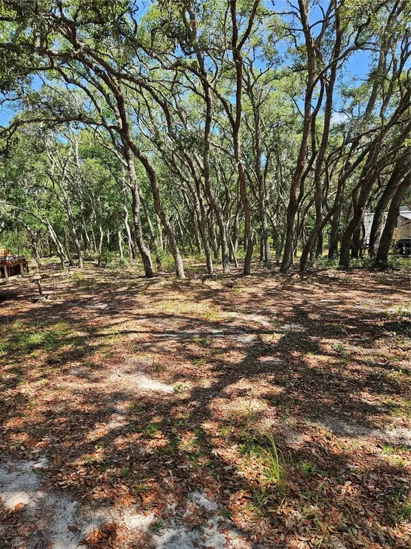 4300 W ROADRUNNER CT, Homosassa, FL 34446