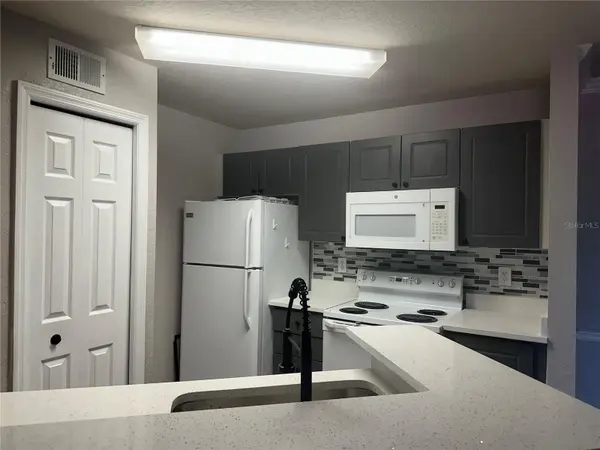 4209 WOODSTORKS WALK WAY #1205, Lutz, FL 33558