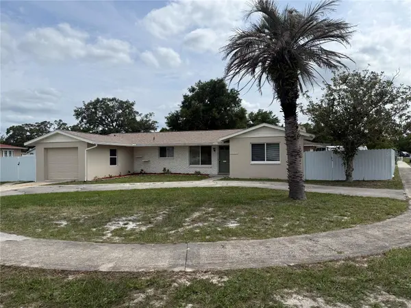 6568 TREEHAVEN DR, Spring Hill, FL 34606