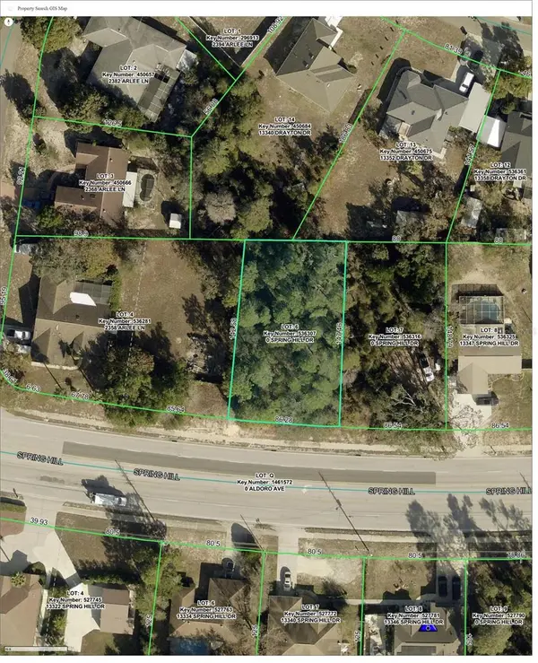 13335 SPRING HILL DR, Spring Hill, FL 34609