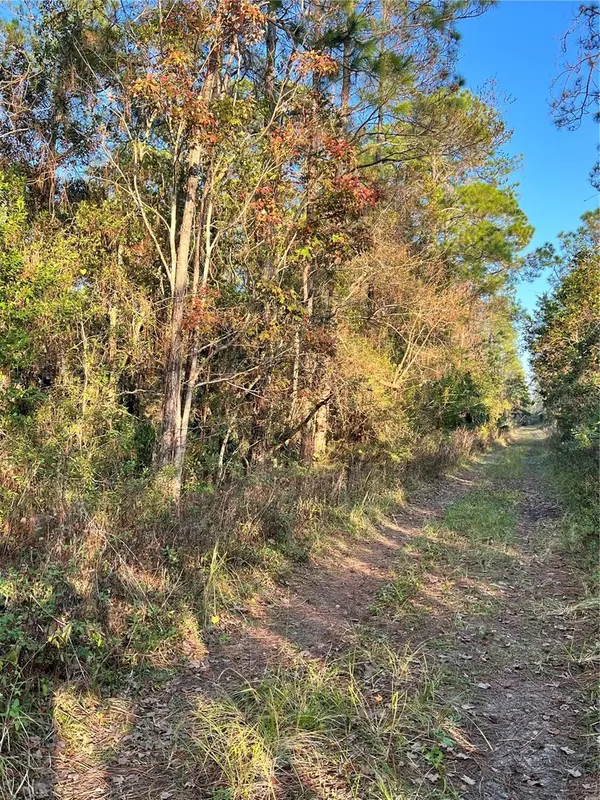 UNIVERSITY HIGHLANDS/ DELAND CROSSINGS, Deland, FL 32724