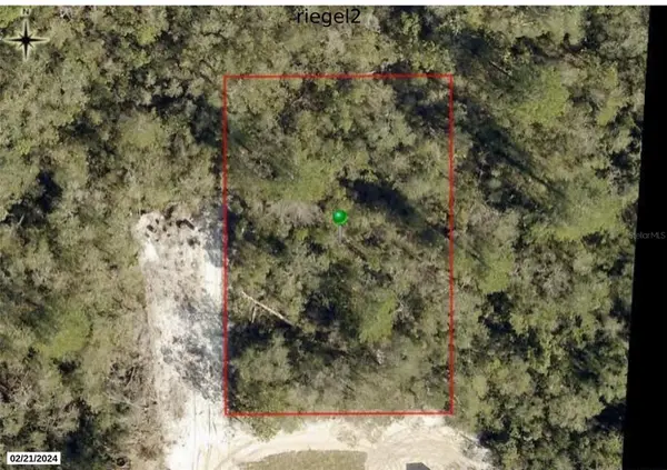 RIEGEL (PAPER) AVE, Orange City, FL 32763
