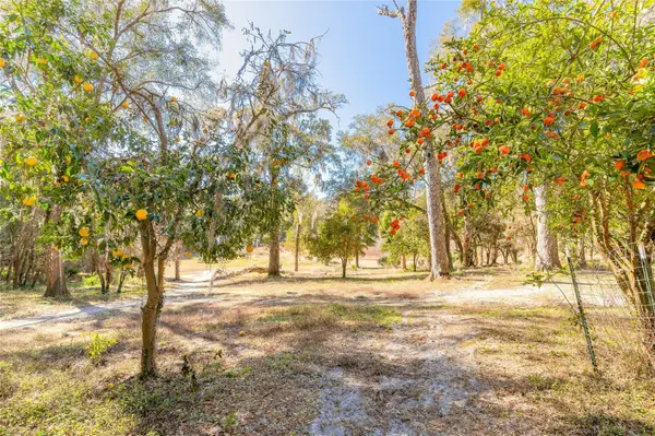 2095 STONE RD, Deland, FL 32720