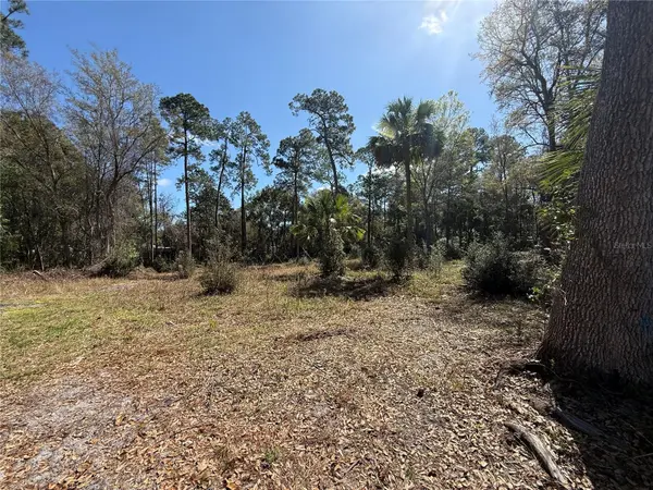 tbd PENNSYLVANIA ST, Paisley, FL 32767