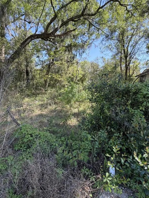 110 E MERCERS FERNERY RD, Deland, FL 32724