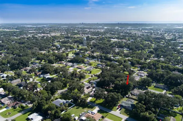 2214 NEEDLE PALM DR, Edgewater, FL 32141