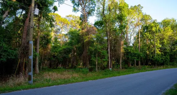 172 WHISPERING PINES RD, Georgetown, FL 32139